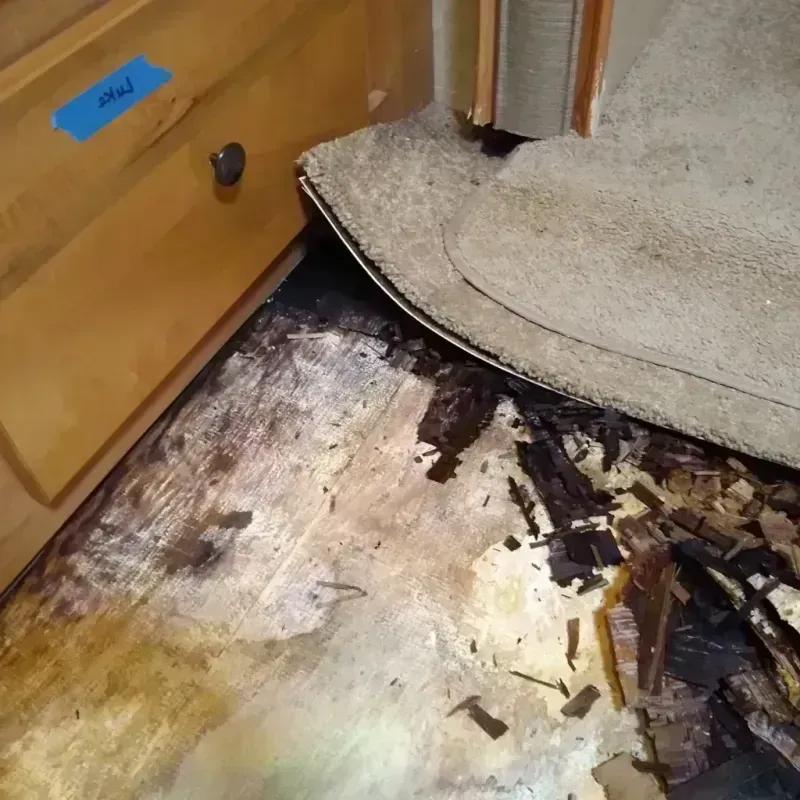 Wood Floor Water Damage in Ellsworth, WI